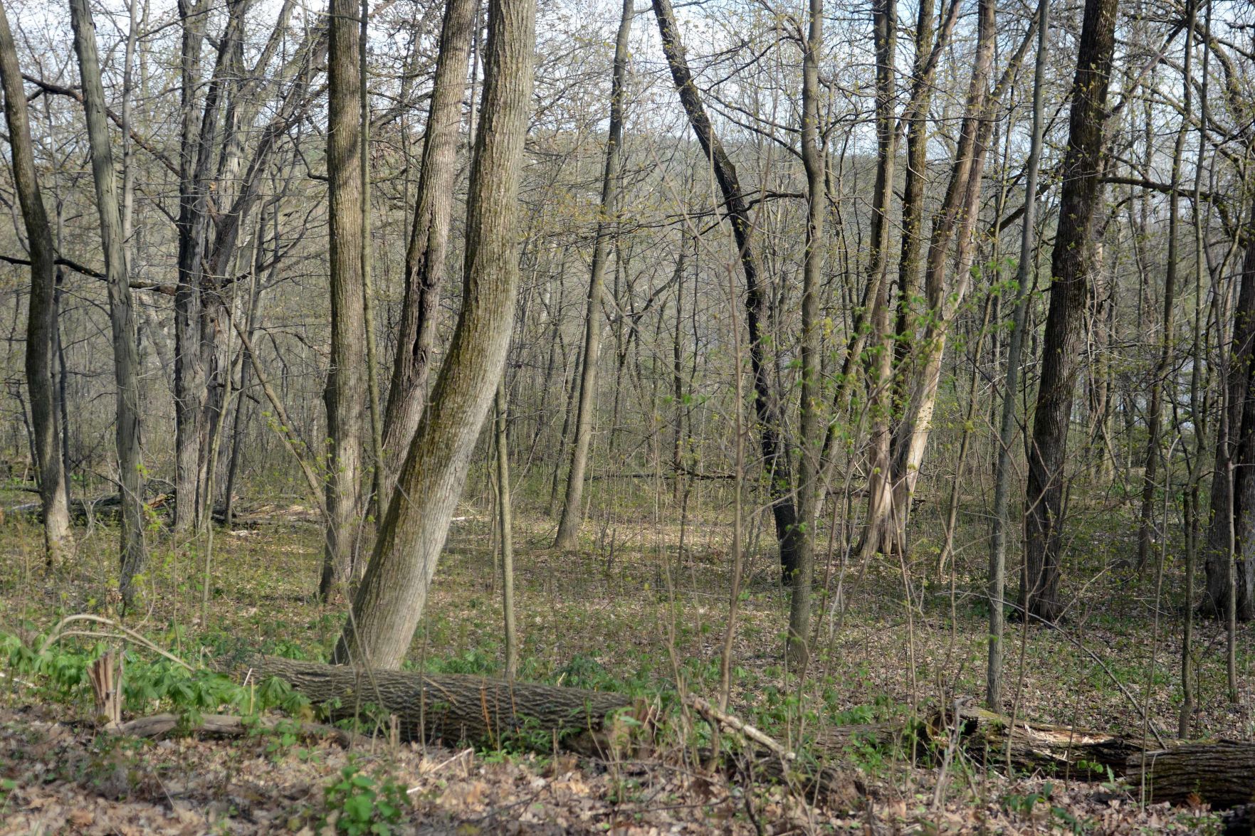 Devil's Lake open May 2